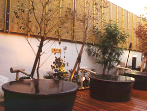 sofuro_003.jpg
