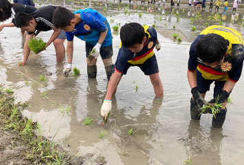 【教育】With!!KITAKYUSHU～SDGsプロジェクト～アカデミー選手による農業体験プロジェクト「田植え」を実施しました