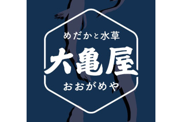 【6/16vs.奈良／ホームゲーム】めだかさんすくい開催!!